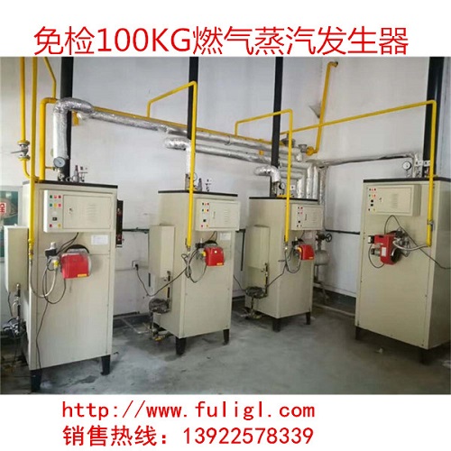 富力牌100KG燃气蒸汽发生器